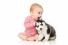 Кучето е неподвижно: правилата на взаимното приспособяване