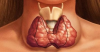 Как да подобрите своя щитовидната жлеза