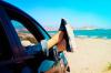 8 прости правила за безопасно пътуване на семейството с кола