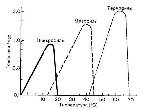 Таблица оцеляване на микроорганизми: дори и термофилни (тези, които го предпочитат горещо) престава да се възпроизвежда и да умре на 60 градуса.