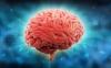 Мозъкът: 7 начини за подобряване на нейната ефективност