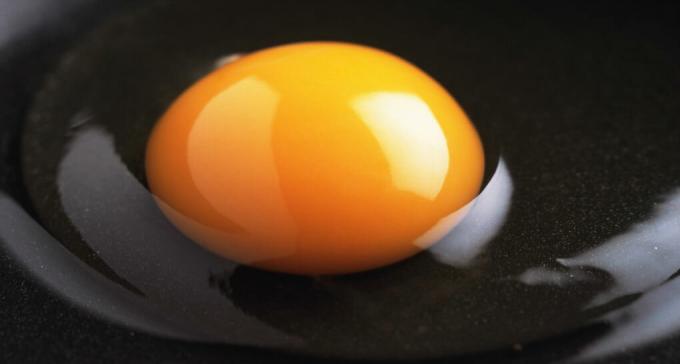 Яйчен белтък - в белтъка на яйцето