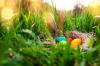Как да обясним на детето си значението на великденското зайче и цветните яйца