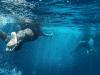 5 мита за удавяне, което може да струва един човек живота си