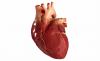 3 основни фактори, които причиняват болест на сърцето
