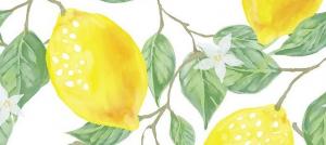Lemon - неподвижни киселинни или алкални храни?