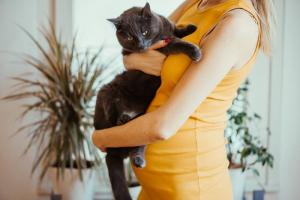 Токсоплазмоза по време на бременност: наистина трябва да се раздели с една котка