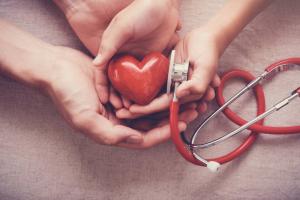 Плацентни клетки лекуват и възстановяват след инфаркт на сърцето: учени