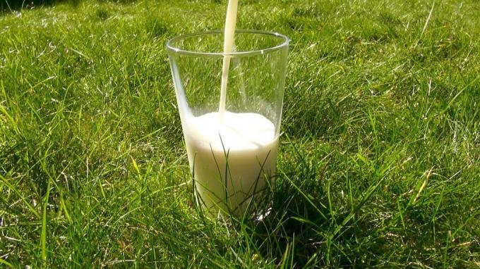 Млякото се продава в магазините съдържа казеин A1, което превръща тялото 