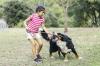 Какво да направите, ако дете е ухапано от куче: отговорът на специалист по инфекциозни болести
