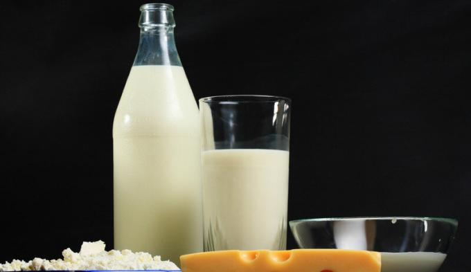 Млечни продукти - мляко и млечни продукти