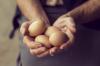 Всичко, което сте искали да знаете за пилешките яйца: 5 основни факта